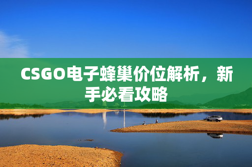 CSGO电子蜂巢价位解析，新手必看攻略