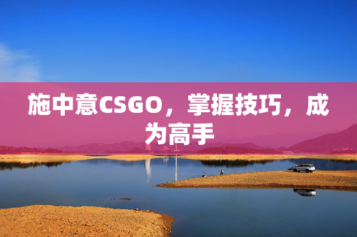 施中意CSGO，掌握技巧，成为高手