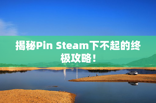 揭秘Pin Steam下不起的终极攻略！