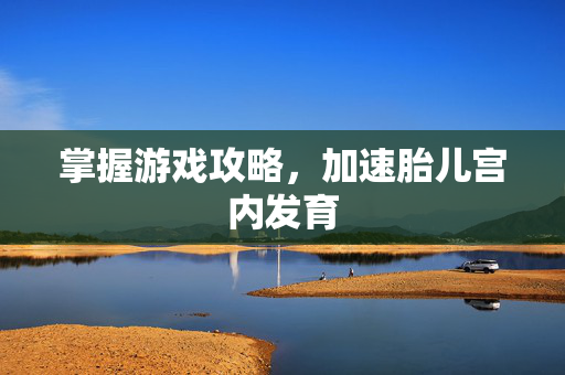 掌握游戏攻略，加速胎儿宫内发育