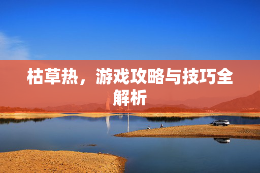枯草热，游戏攻略与技巧全解析