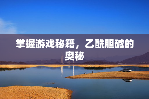 掌握游戏秘籍，乙酰胆碱的奥秘