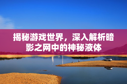 揭秘游戏世界，深入解析暗影之网中的神秘液体