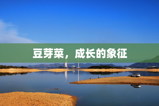 豆芽菜，成长的象征