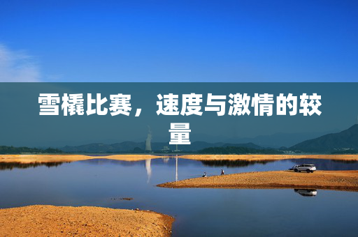 雪橇比赛，速度与激情的较量