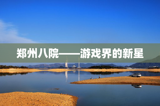 郑州八院——游戏界的新星
