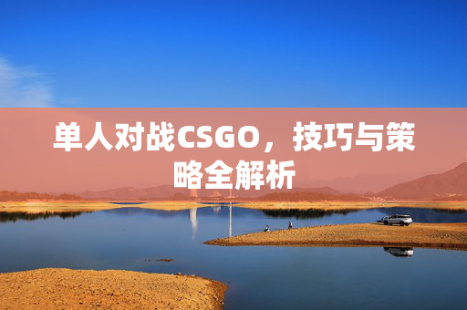 单人对战CSGO，技巧与策略全解析