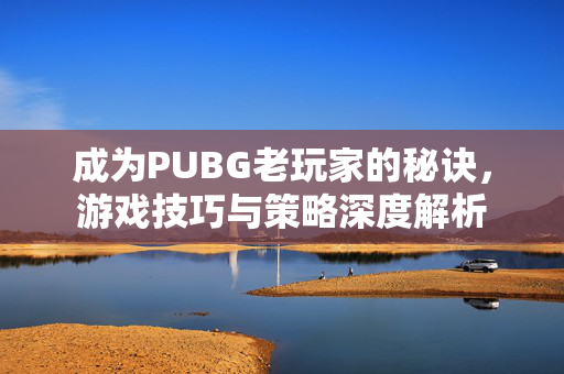 成为PUBG老玩家的秘诀，游戏技巧与策略深度解析