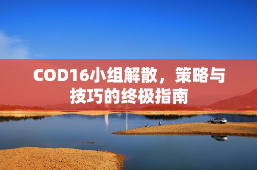 COD16小组解散，策略与技巧的终极指南