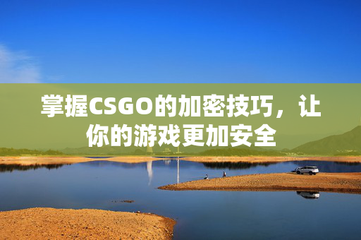 掌握CSGO的加密技巧，让你的游戏更加安全
