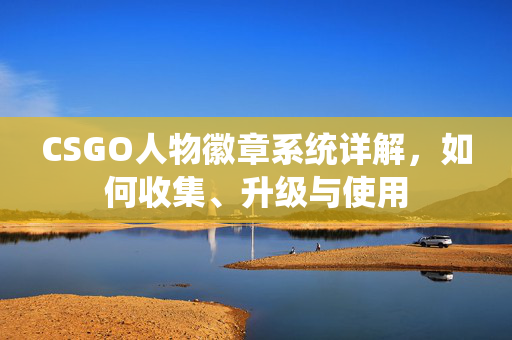 CSGO人物徽章系统详解，如何收集、升级与使用