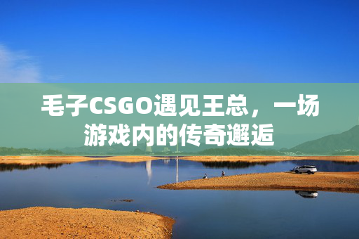 毛子CSGO遇见王总，一场游戏内的传奇邂逅