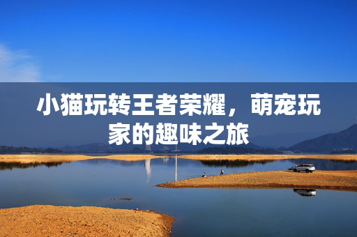 小猫玩转王者荣耀，萌宠玩家的趣味之旅