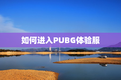 如何进入PUBG体验服