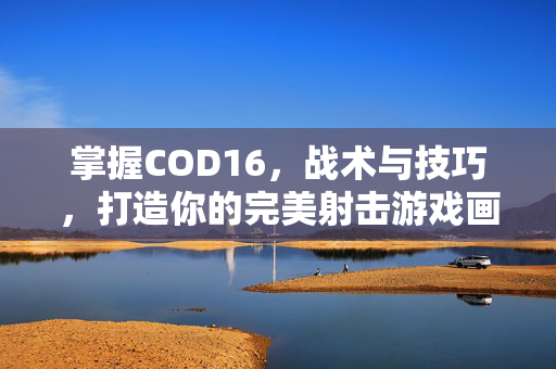 掌握COD16，战术与技巧，打造你的完美射击游戏画面
