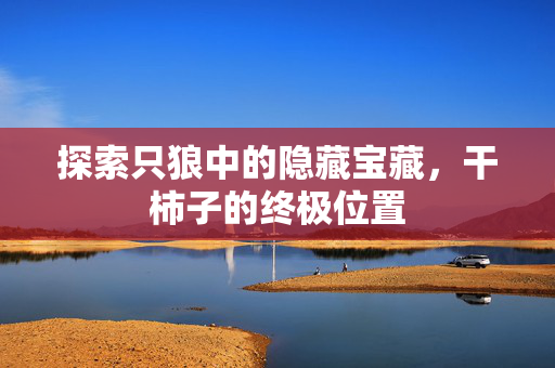 探索只狼中的隐藏宝藏，干柿子的终极位置