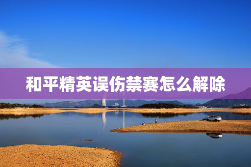 和平精英误伤禁赛怎么解除