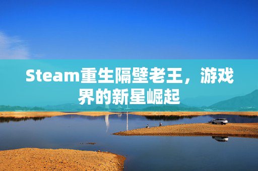 Steam重生隔壁老王，游戏界的新星崛起