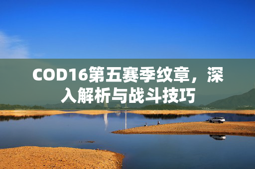 COD16第五赛季纹章，深入解析与战斗技巧