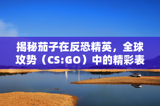揭秘茄子在反恐精英，全球攻势（CS:GO）中的精彩表现