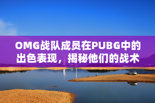 OMG战队成员在PUBG中的出色表现，揭秘他们的战术与技巧