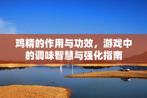 鸡精的作用与功效，游戏中的调味智慧与强化指南