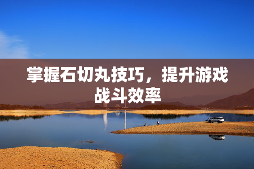 掌握石切丸技巧，提升游戏战斗效率