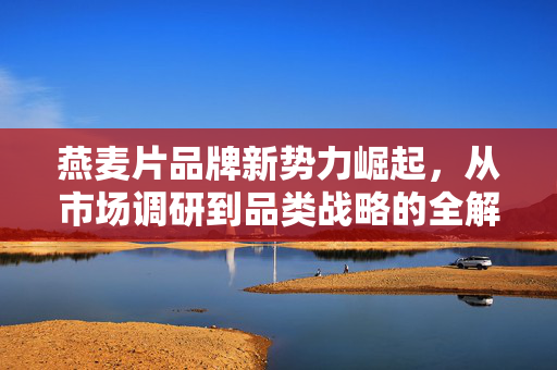 燕麦片品牌新势力崛起，从市场调研到品类战略的全解析