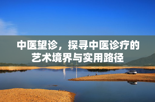 中医望诊，探寻中医诊疗的艺术境界与实用路径
