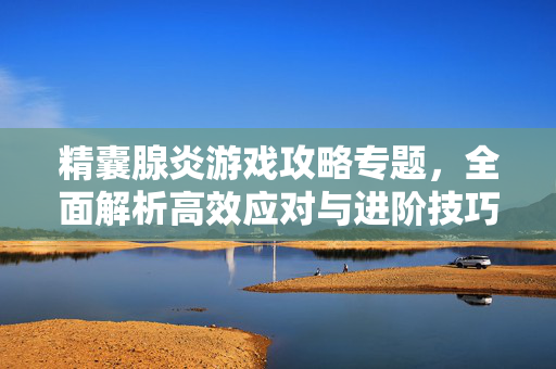 精囊腺炎游戏攻略专题，全面解析高效应对与进阶技巧