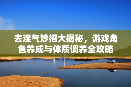 去湿气妙招大揭秘，游戏角色养成与体质调养全攻略