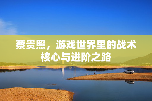 蔡贵照，游戏世界里的战术核心与进阶之路
