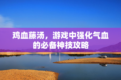 鸡血藤汤，游戏中强化气血的必备神技攻略