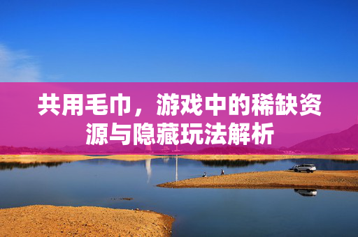 共用毛巾，游戏中的稀缺资源与隐藏玩法解析
