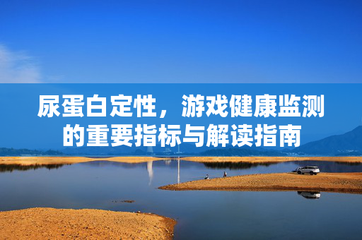 尿蛋白定性，游戏健康监测的重要指标与解读指南