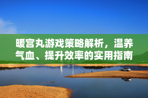 暖宫丸游戏策略解析，温养气血、提升效率的实用指南