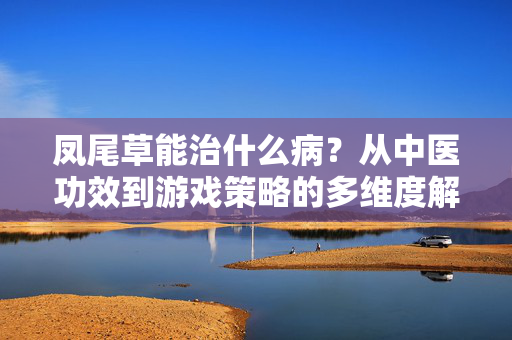 凤尾草能治什么病？从中医功效到游戏策略的多维度解析