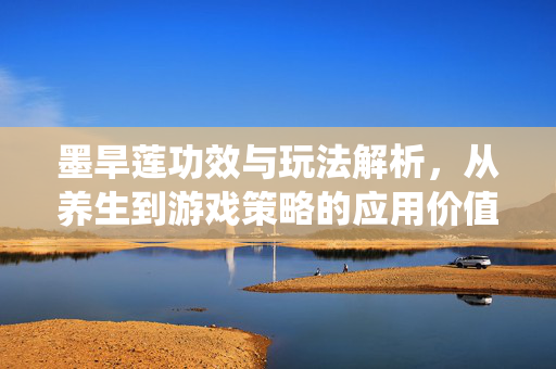 墨旱莲功效与玩法解析，从养生到游戏策略的应用价值创作中，墨旱莲的应用需兼顾传统功效探讨与游戏策略呈现，以下从功效与作用解析及游戏应用场景切入，梳理其核心价值
