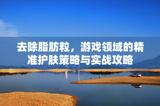 去除脂肪粒，游戏领域的精准护肤策略与实战攻略