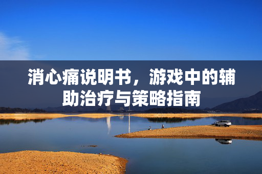 消心痛说明书，游戏中的辅助治疗与策略指南