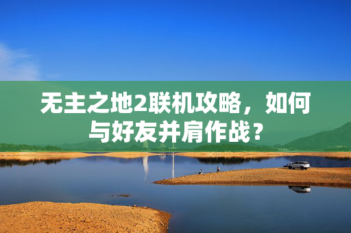 无主之地2联机攻略，如何与好友并肩作战？