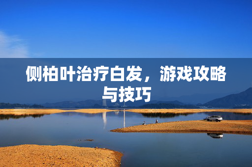 侧柏叶治疗白发，游戏攻略与技巧