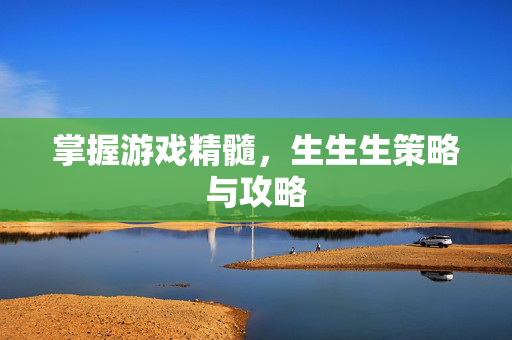 掌握游戏精髓，生生生策略与攻略