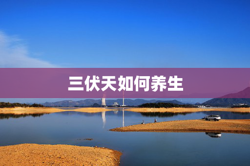三伏天如何养生