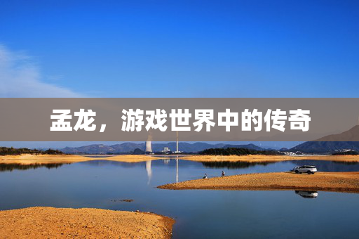 孟龙,游戏世界中的传奇 孟龙,游戏世界中的传奇
