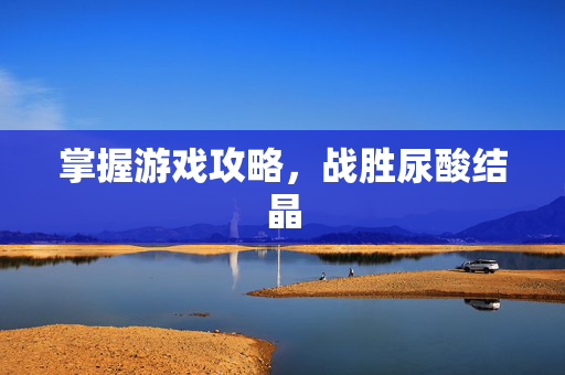 掌握游戏攻略，战胜尿酸结晶
