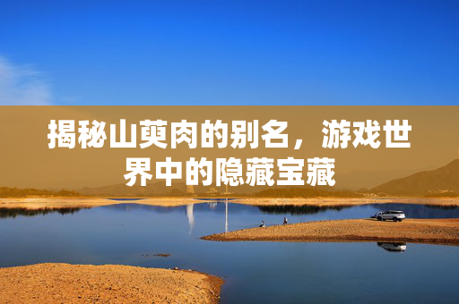 揭秘山萸肉的别名，游戏世界中的隐藏宝藏