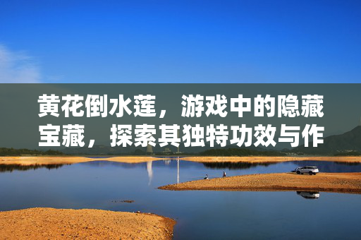 黄花倒水莲，游戏中的隐藏宝藏，探索其独特功效与作用