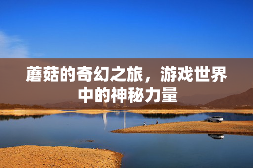 蘑菇的奇幻之旅，游戏世界中的神秘力量