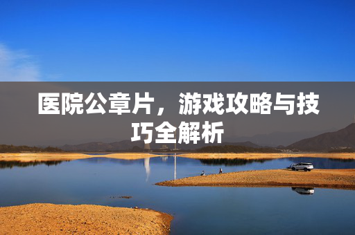 医院公章片，游戏攻略与技巧全解析